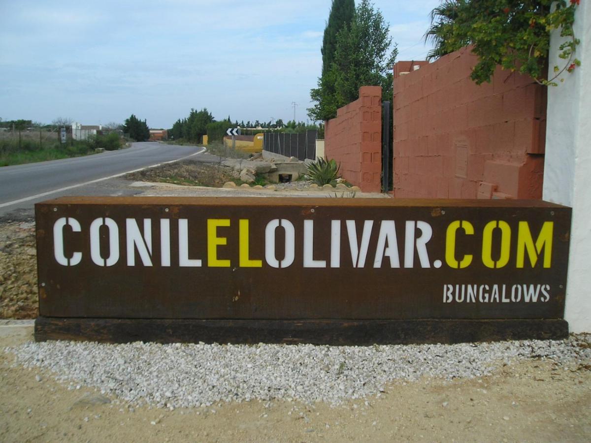 El Olivar De Roche Viejo Conil De La Frontera Exteriér fotografie