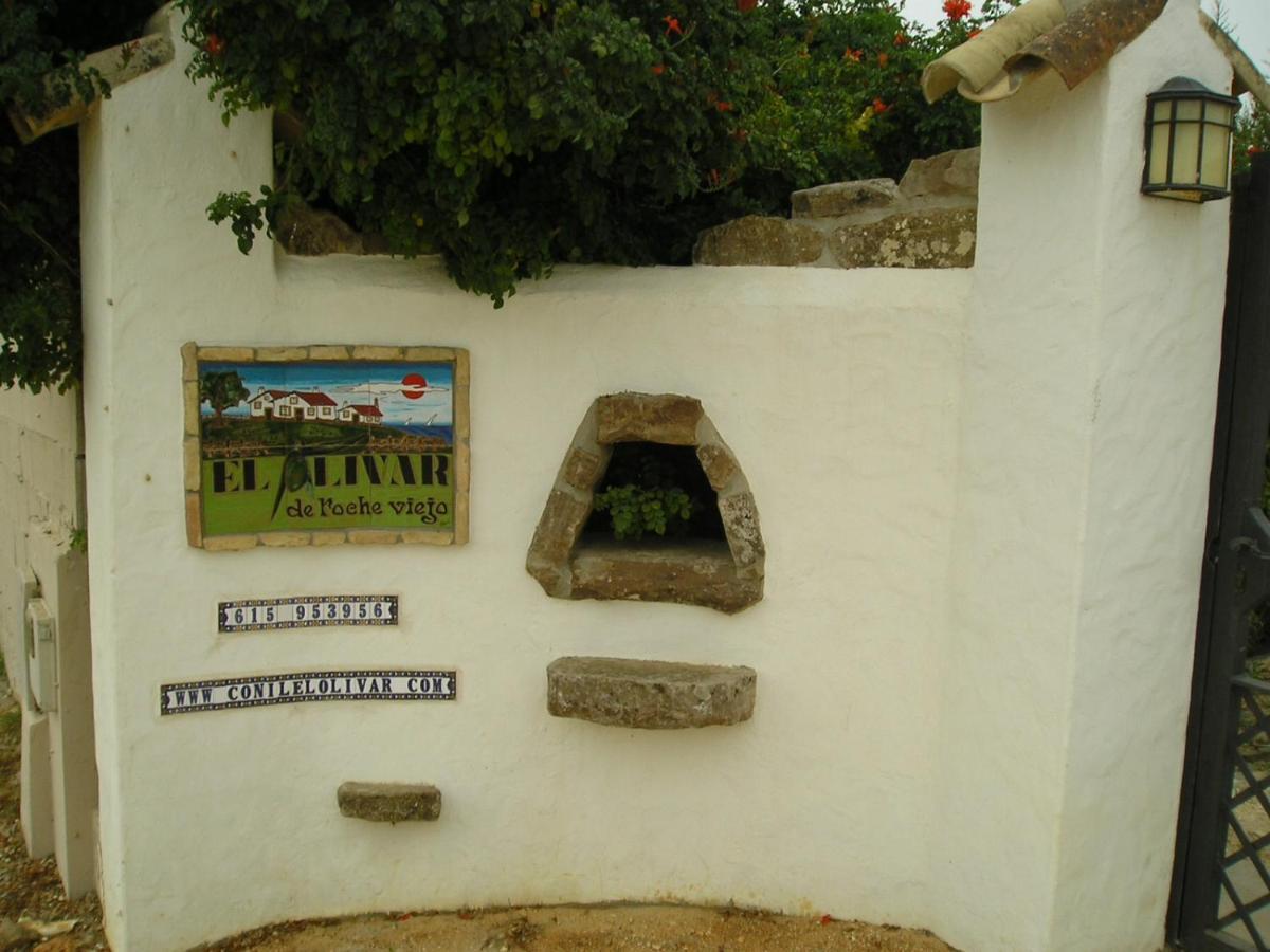 El Olivar De Roche Viejo Conil De La Frontera Exteriér fotografie