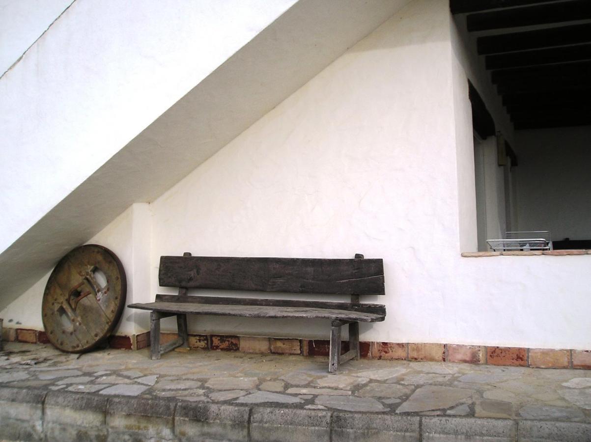 El Olivar De Roche Viejo Conil De La Frontera Exteriér fotografie