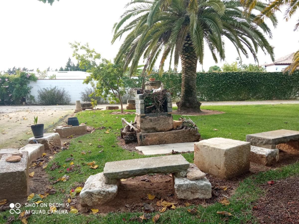 El Olivar De Roche Viejo Conil De La Frontera Exteriér fotografie