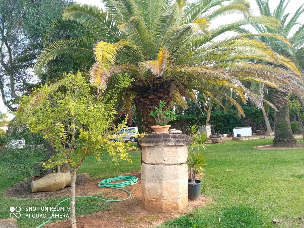 El Olivar De Roche Viejo Conil De La Frontera Exteriér fotografie