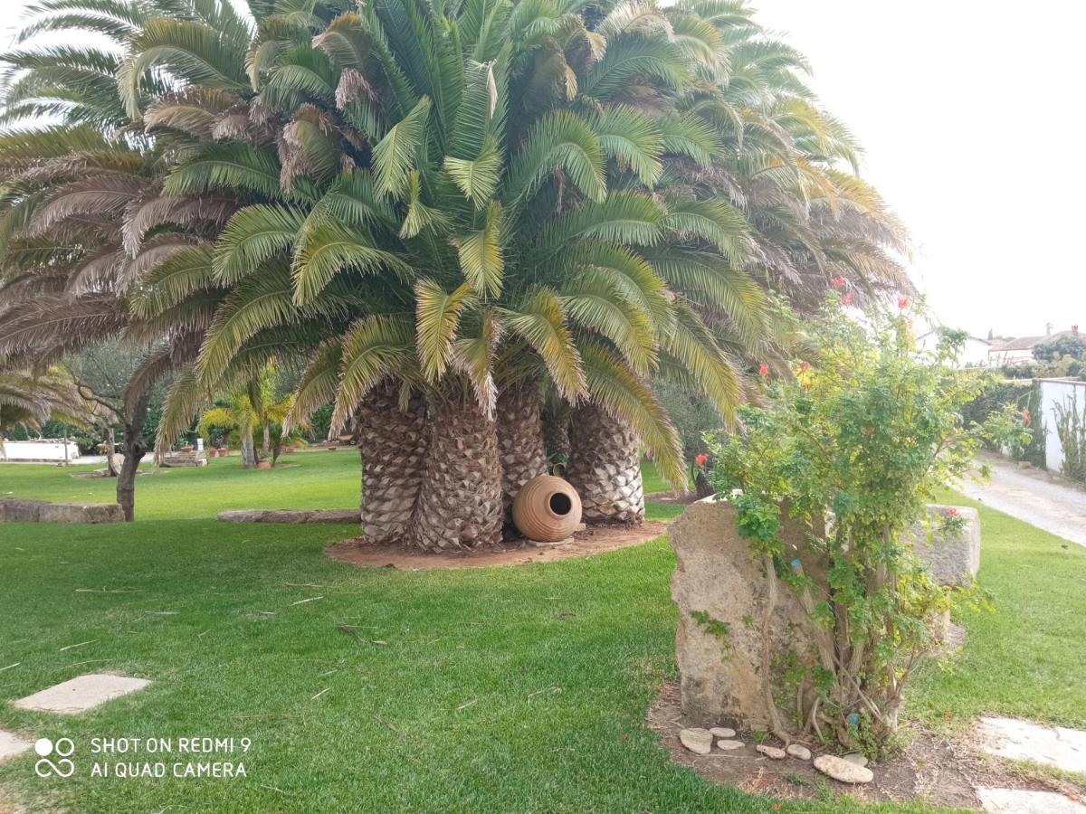 El Olivar De Roche Viejo Conil De La Frontera Exteriér fotografie