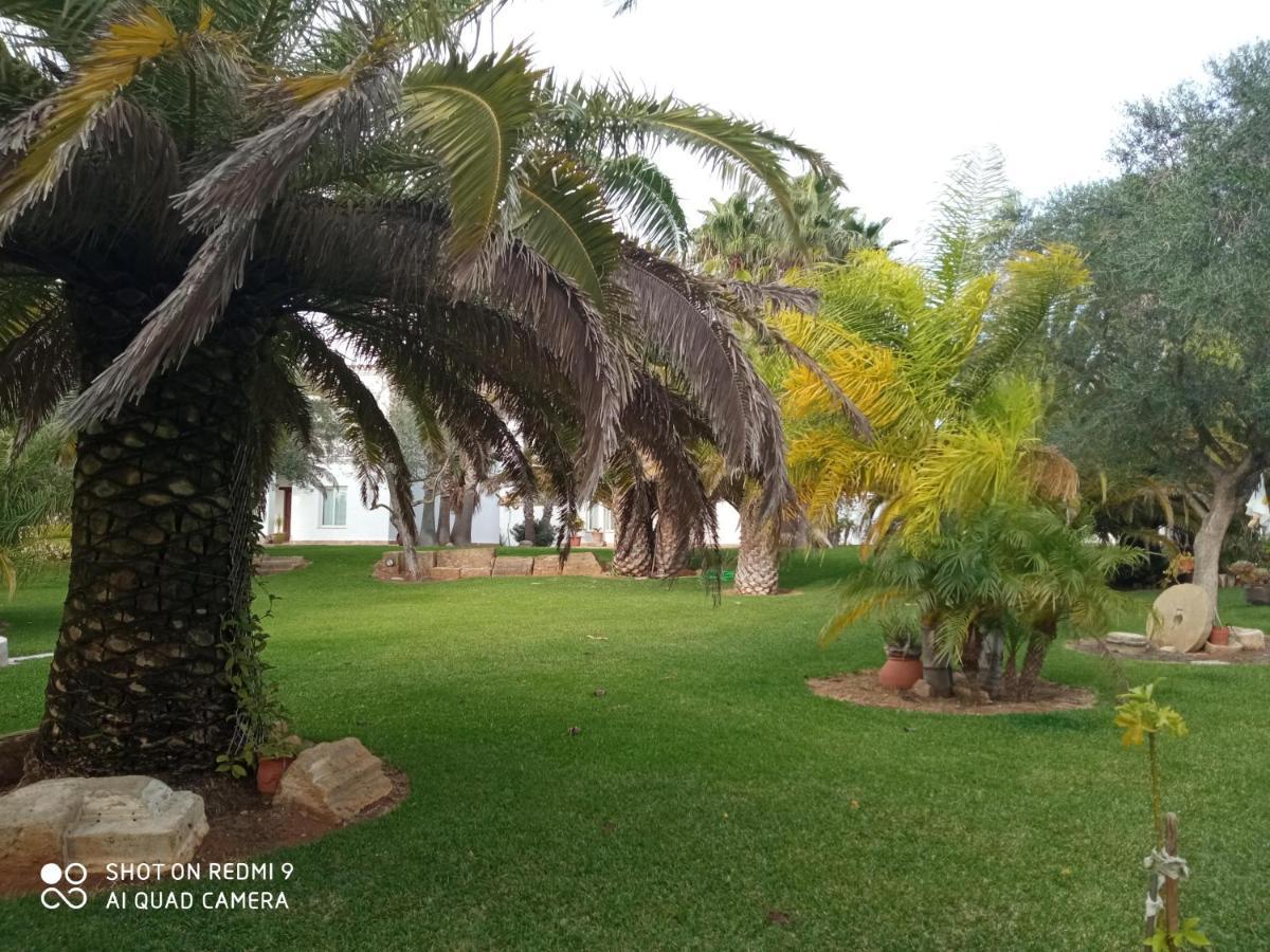 El Olivar De Roche Viejo Conil De La Frontera Exteriér fotografie