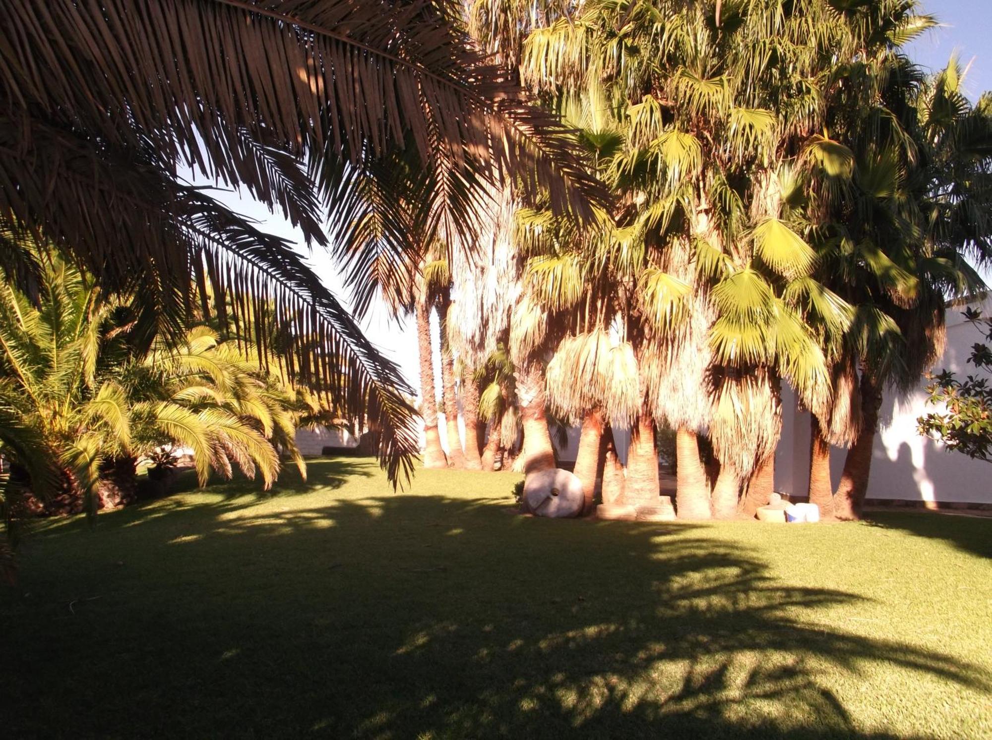 El Olivar De Roche Viejo Conil De La Frontera Exteriér fotografie