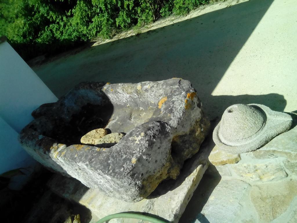 El Olivar De Roche Viejo Conil De La Frontera Exteriér fotografie
