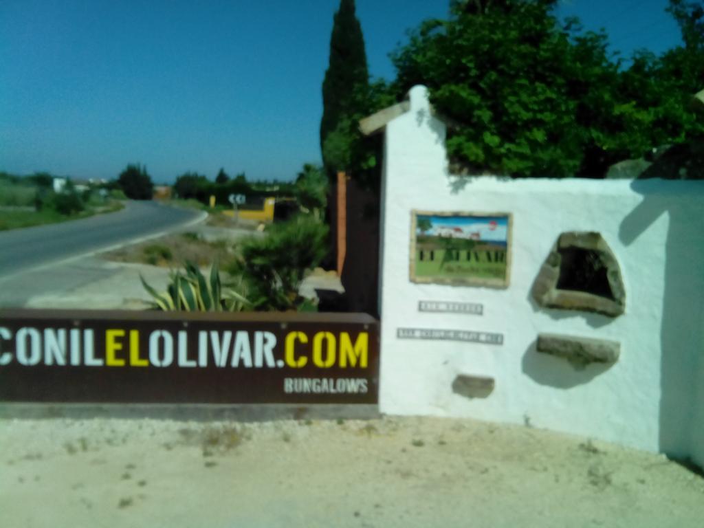 El Olivar De Roche Viejo Conil De La Frontera Exteriér fotografie