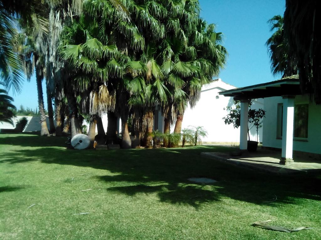El Olivar De Roche Viejo Conil De La Frontera Exteriér fotografie