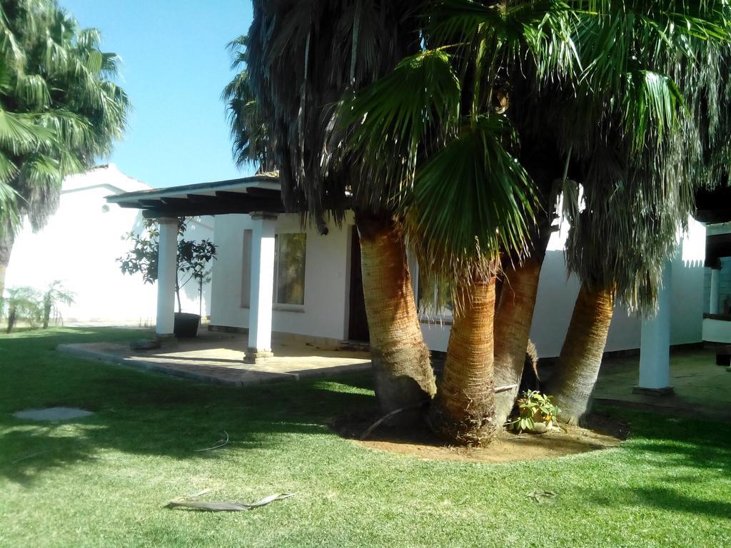 El Olivar De Roche Viejo Conil De La Frontera Exteriér fotografie