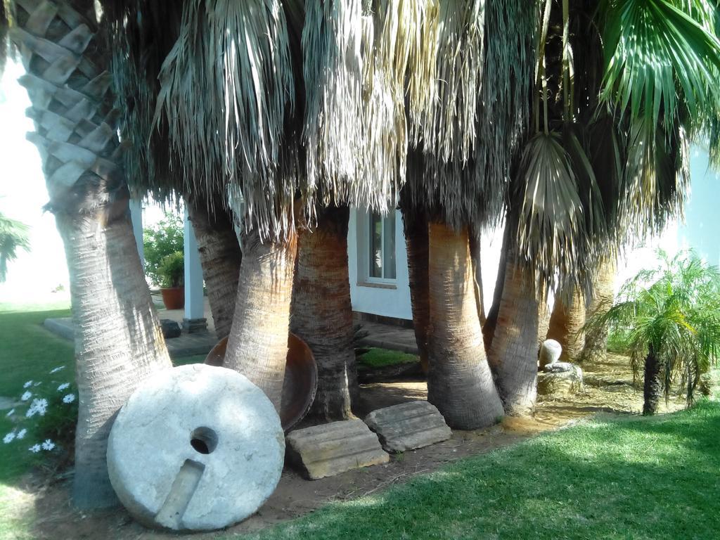 El Olivar De Roche Viejo Conil De La Frontera Exteriér fotografie