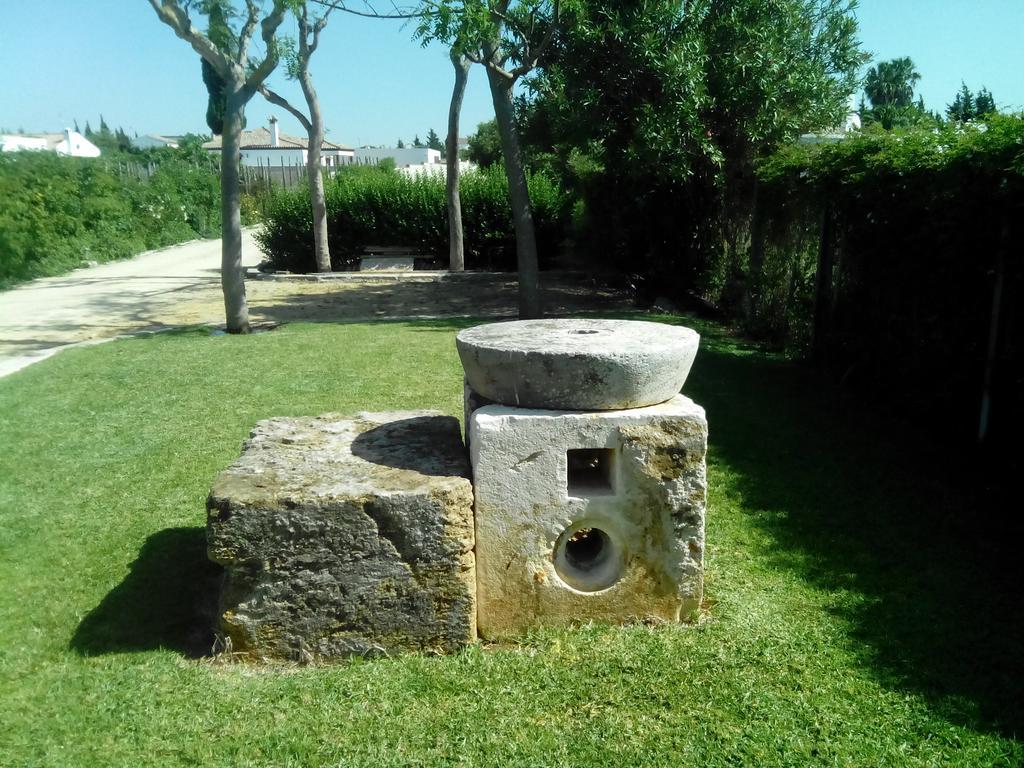 El Olivar De Roche Viejo Conil De La Frontera Exteriér fotografie