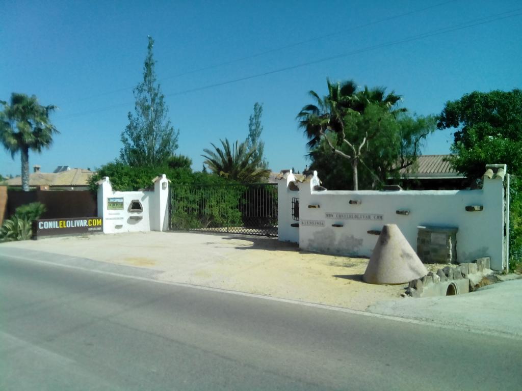 El Olivar De Roche Viejo Conil De La Frontera Exteriér fotografie