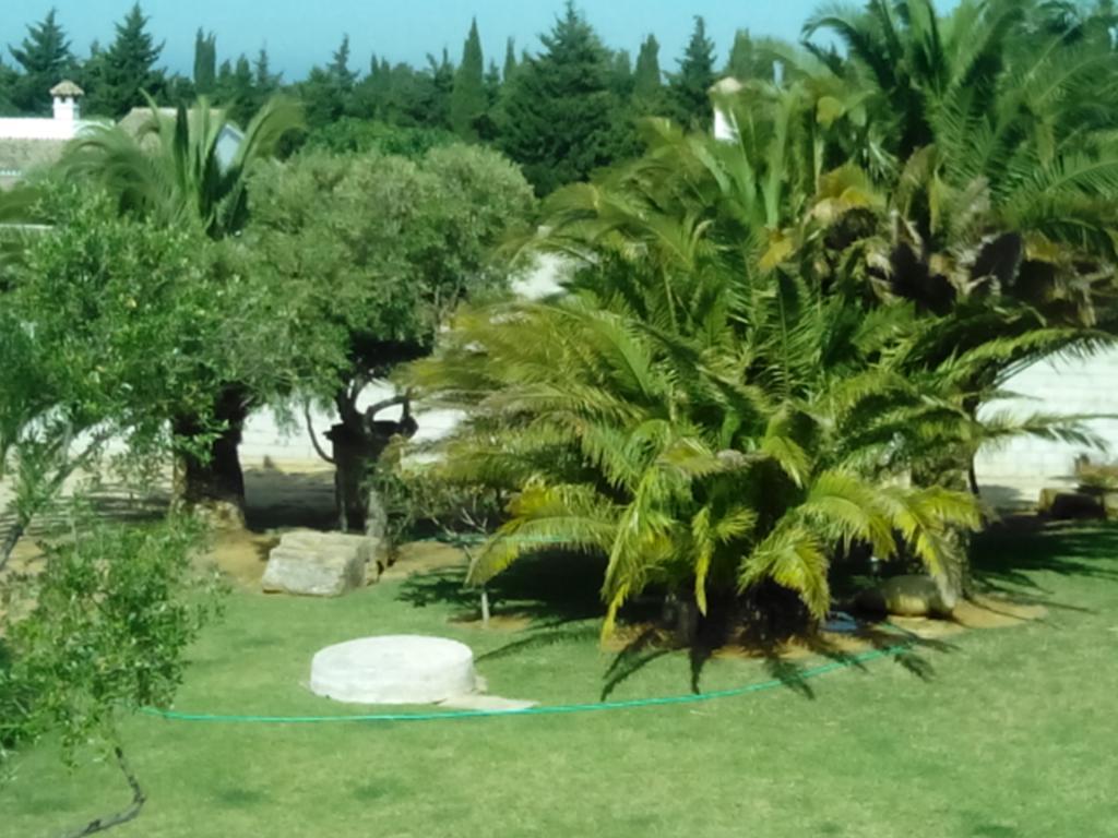 El Olivar De Roche Viejo Conil De La Frontera Exteriér fotografie