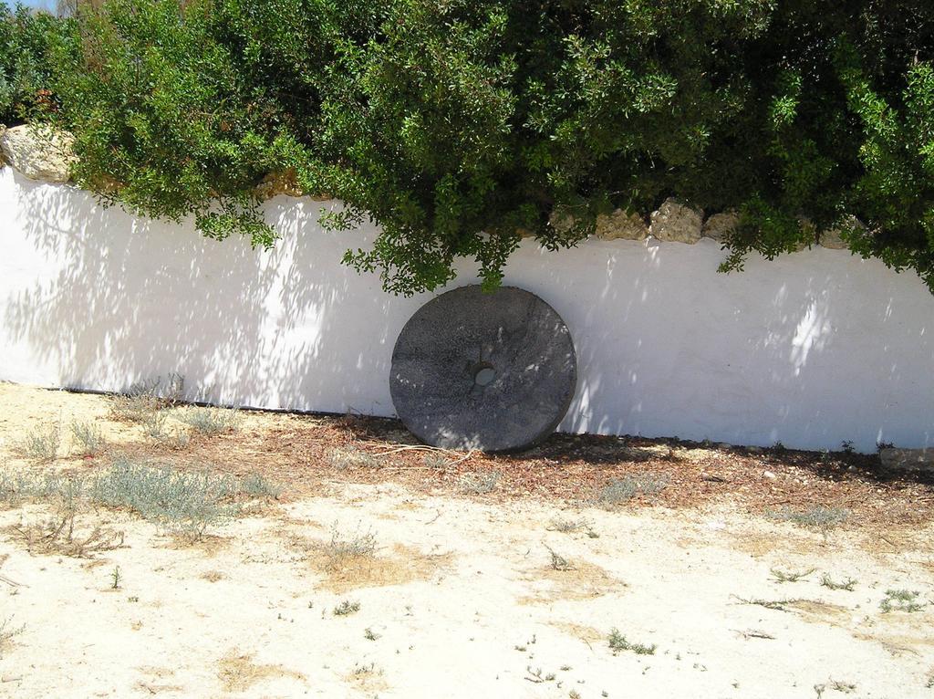 El Olivar De Roche Viejo Conil De La Frontera Exteriér fotografie