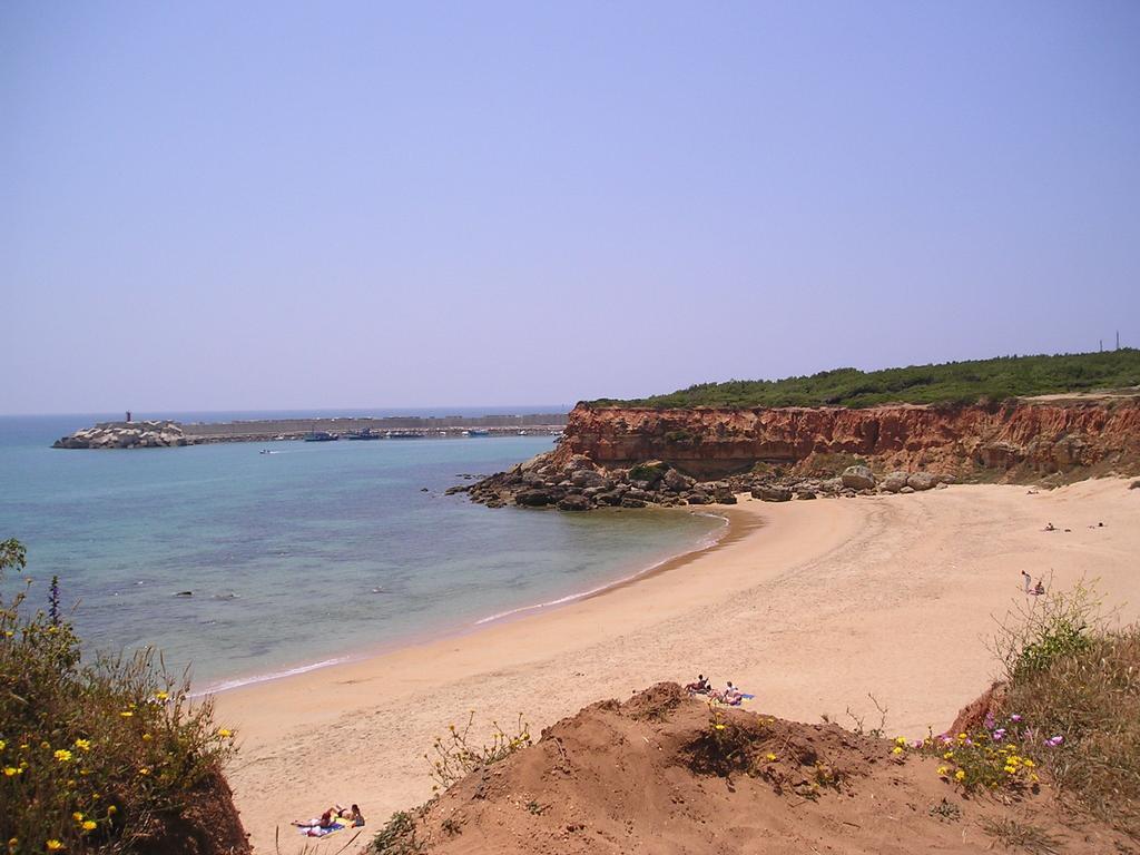 El Olivar De Roche Viejo Conil De La Frontera Exteriér fotografie