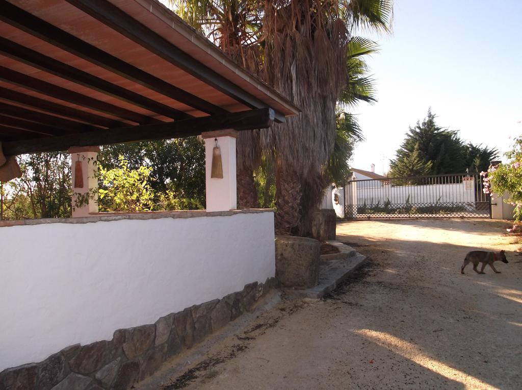 El Olivar De Roche Viejo Conil De La Frontera Exteriér fotografie