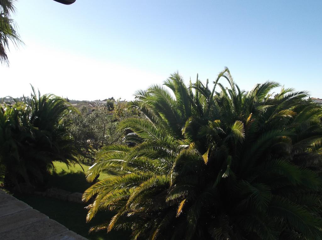 El Olivar De Roche Viejo Conil De La Frontera Exteriér fotografie